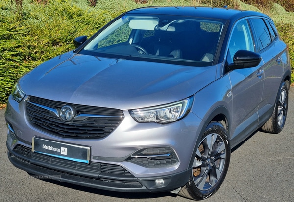 Used Vauxhall Grandland X 2020 for sale - 76716008: Photo 1