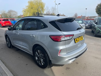 Used Ford Kuga 2020 for sale - 77980617: Photo