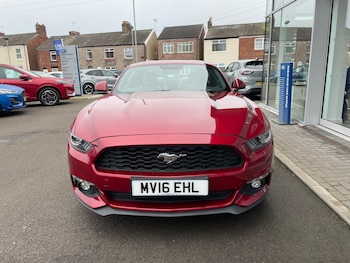 Used Ford Mustang 2016 for sale - 77813756: Photo