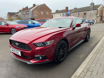 Used Ford Mustang 2016 for sale - 77813756: Photo