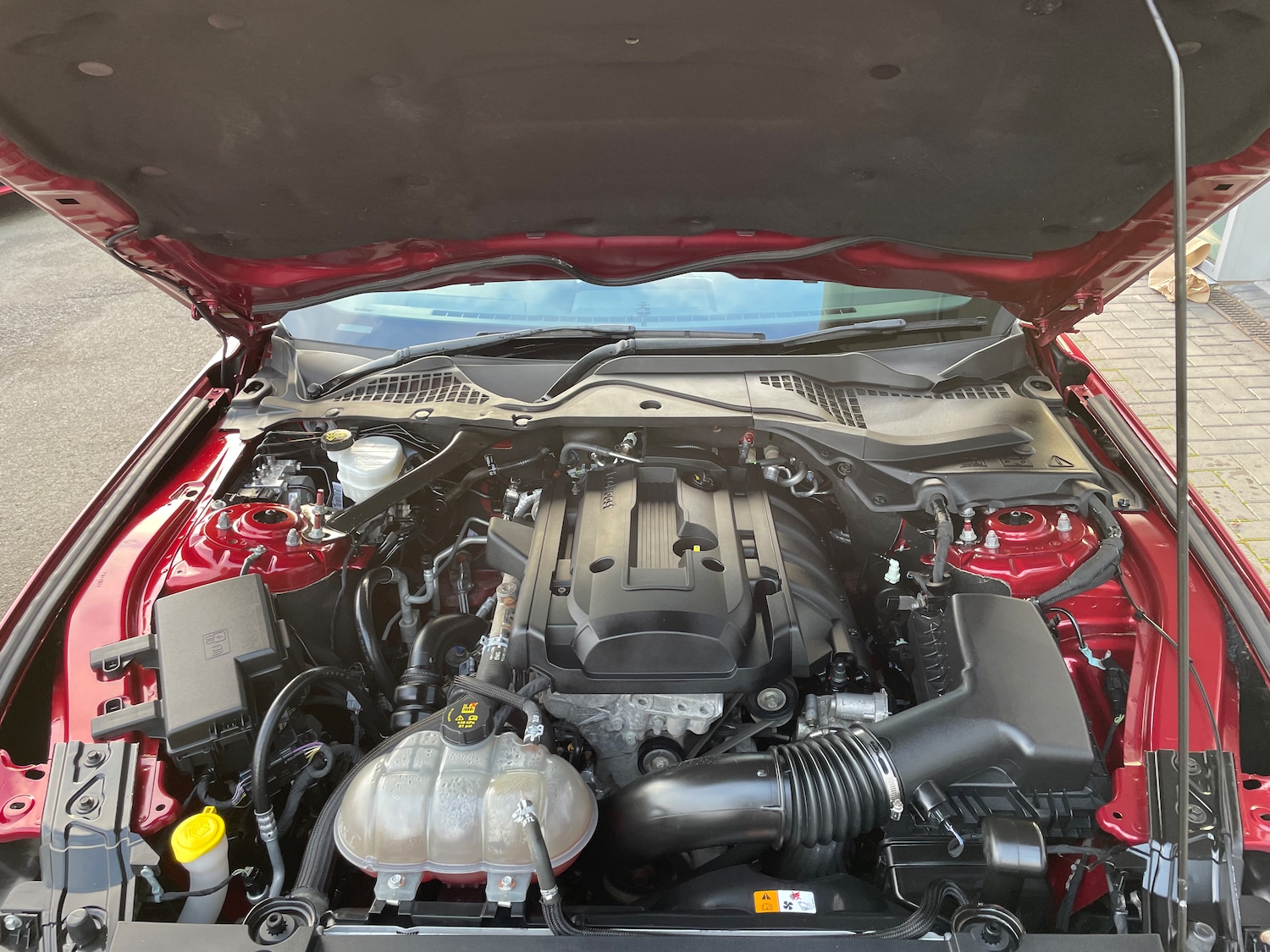 Used Ford Mustang 2016 for sale - 77813756: Photo 7