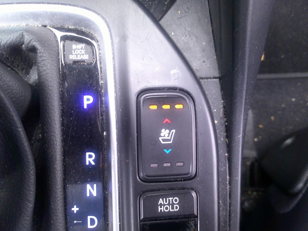 Used Hyundai Santa Fe 2016 for sale - 76647250: Photo 39