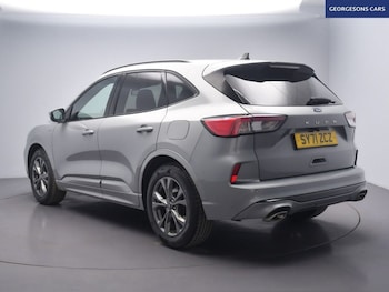 Used Ford Kuga 2022 for sale - 77408626: Photo