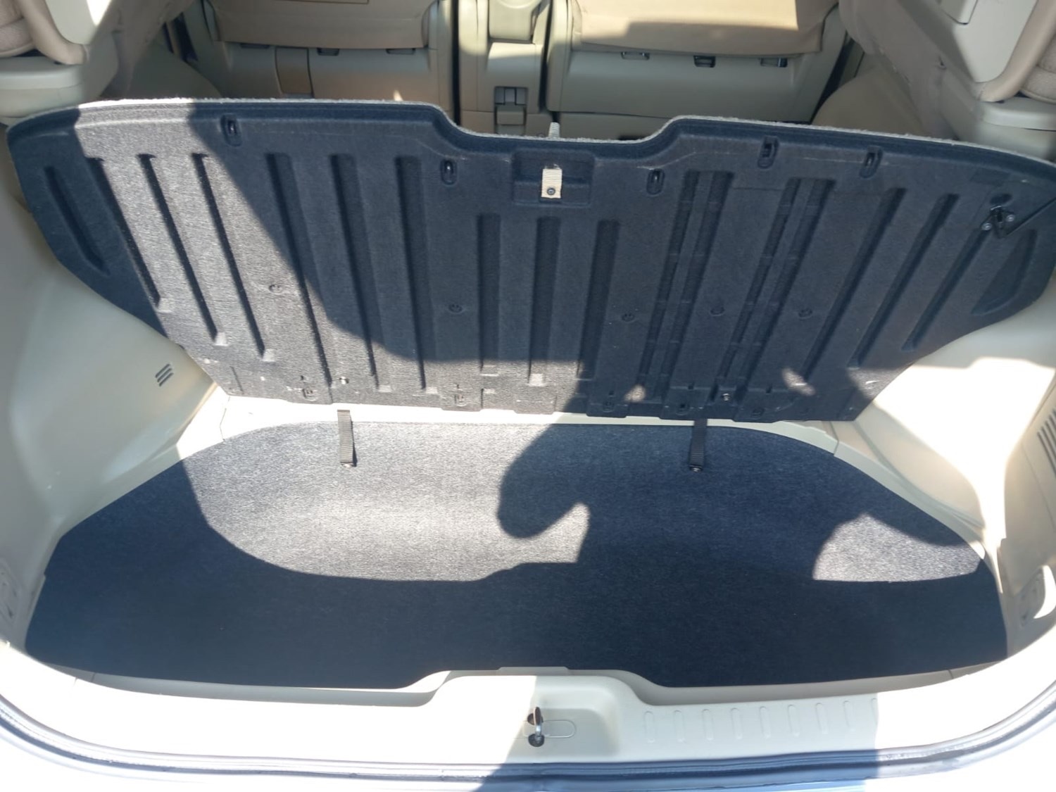 Used Nissan Serena 2006 for sale - 76316850: Photo 15