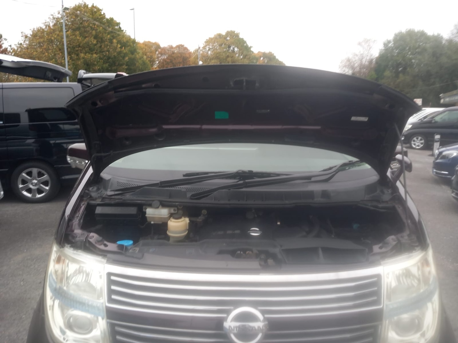 Used Nissan Elgrand 2008 for sale - 76316350: Photo 5
