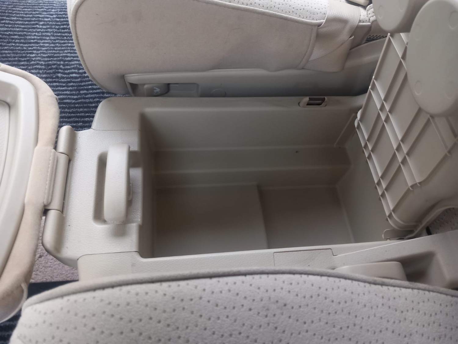 Used Nissan Elgrand 2021 for sale - 76980330: Photo 12