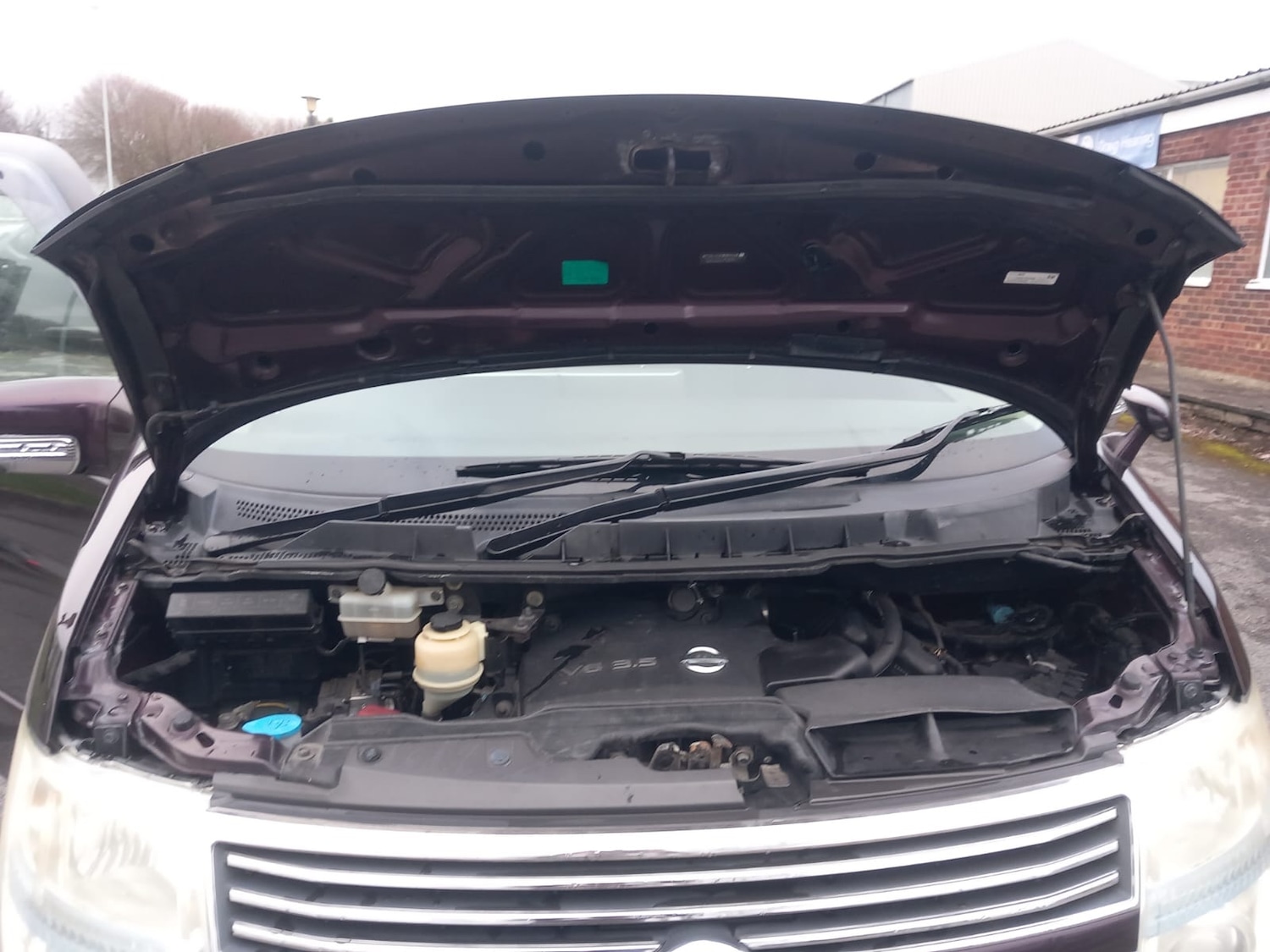 Used Nissan Elgrand 2025 for sale - 77618367: Photo 10