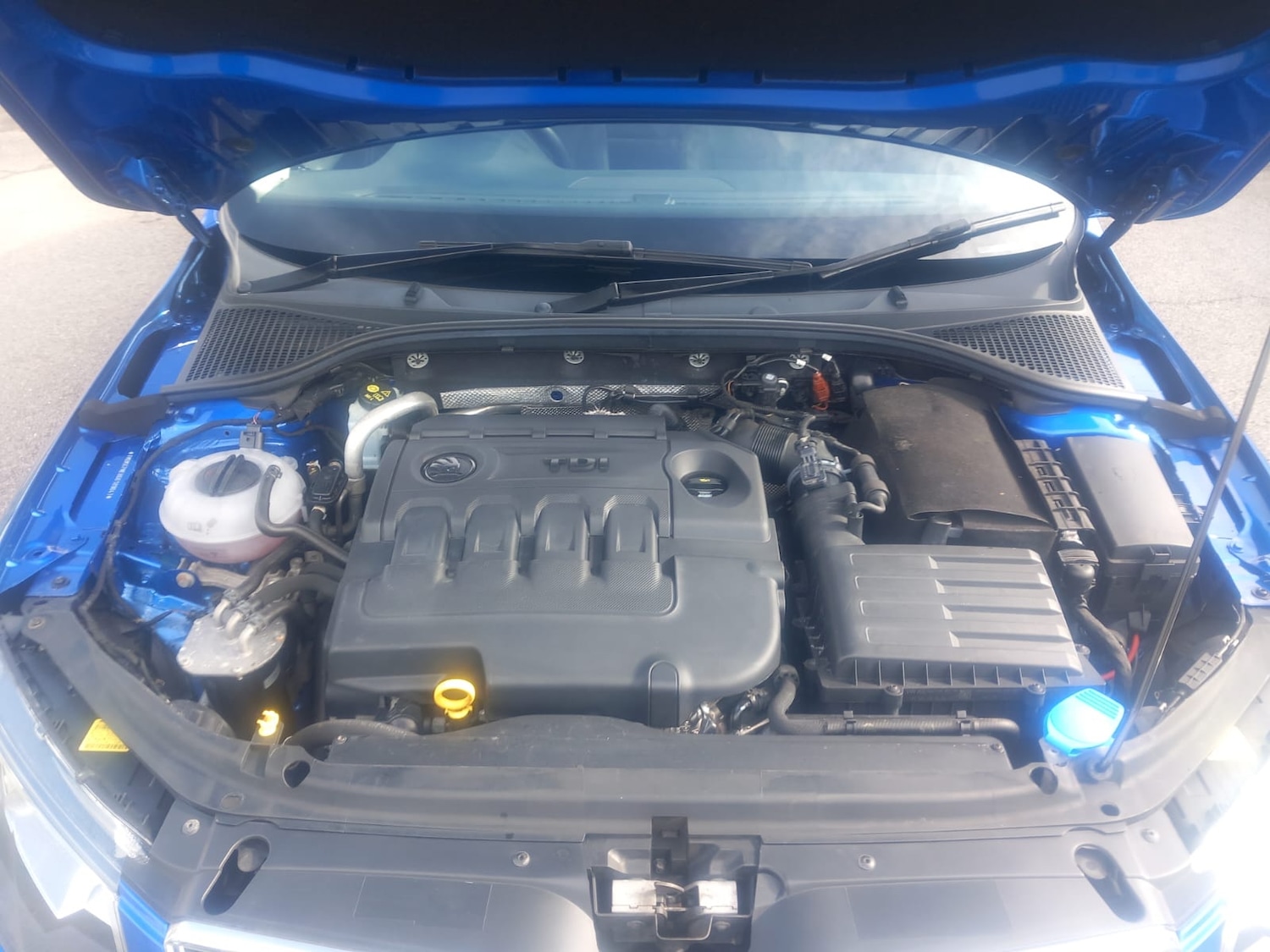 Used Skoda Octavia 2016 for sale - 77902589: Photo 9