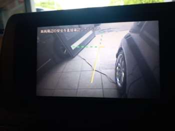 Used Nissan Elgrand 2009 for sale - 74683204: Photo