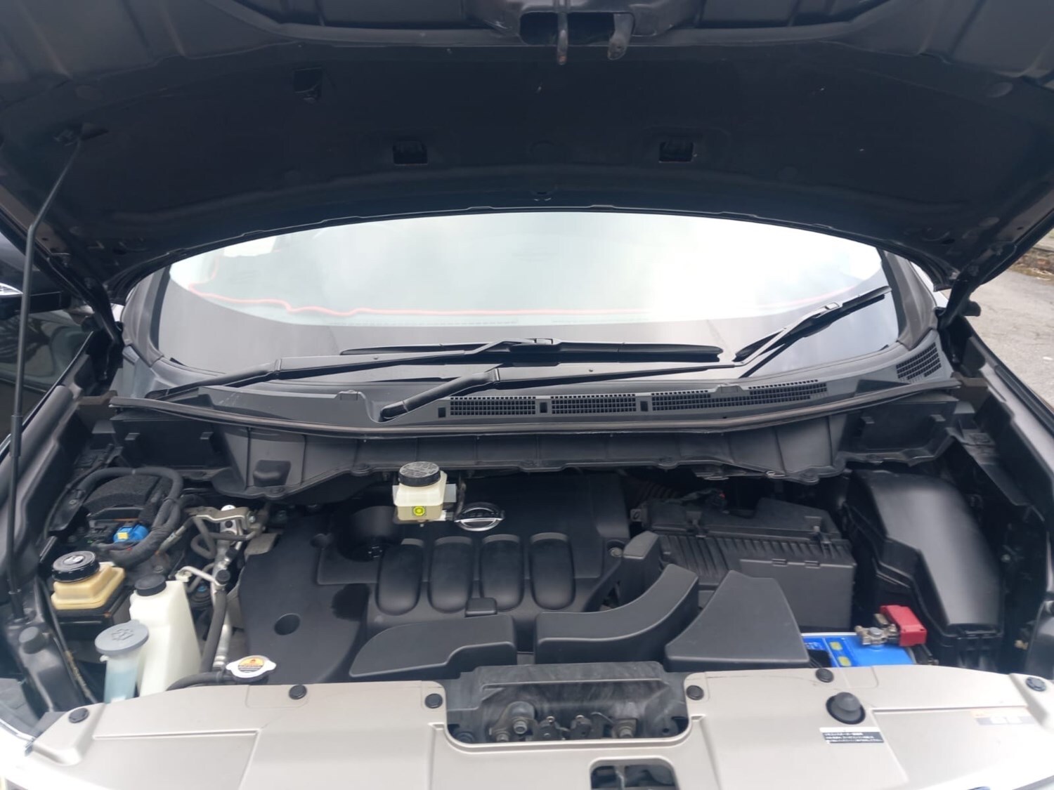 Used Nissan Elgrand 2010 for sale - 76309888: Photo 9