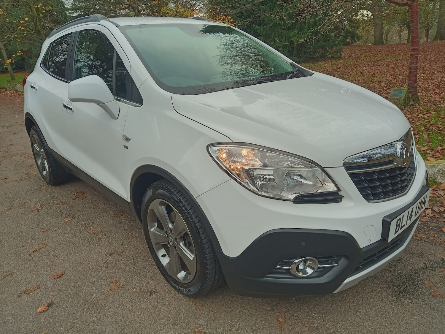 Used Vauxhall Mokka 2014 for sale - 76612188: Photo 9