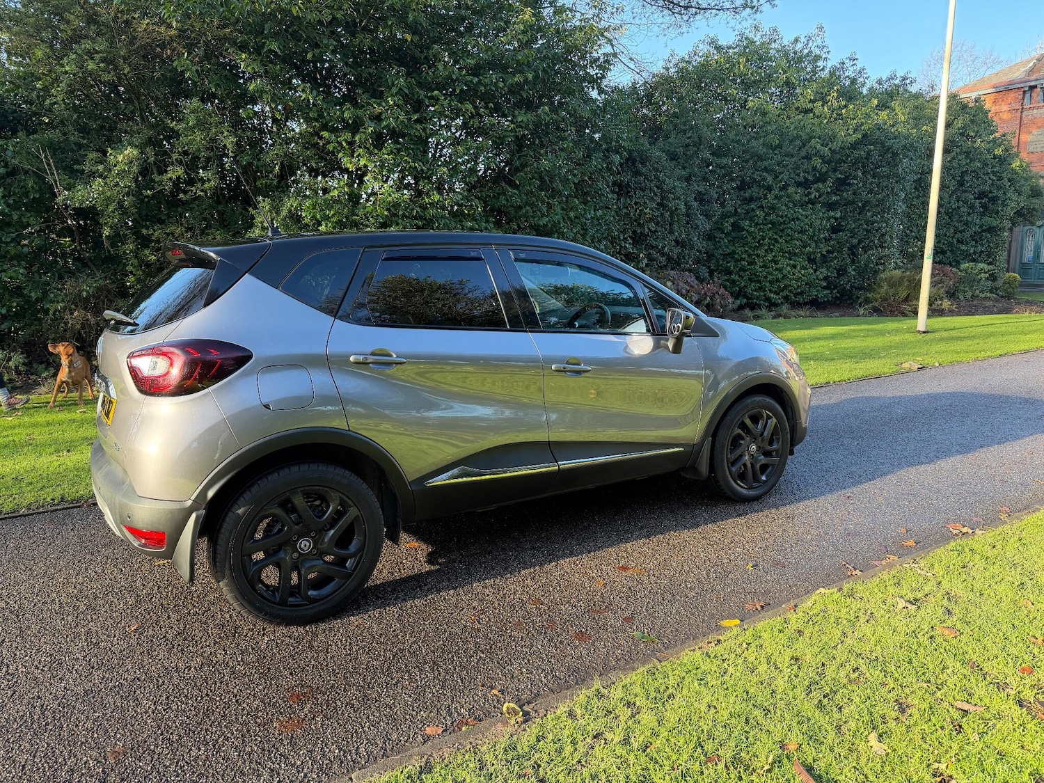 Used Renault Captur 2017 for sale - 76765655: Photo 12