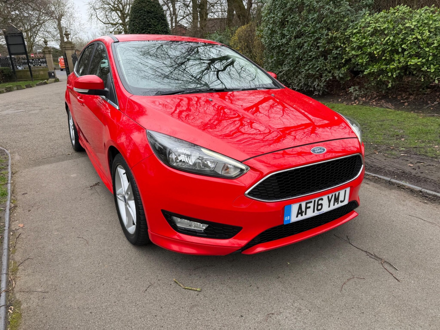 Used Ford Focus for sale - 77854292: Photo 4