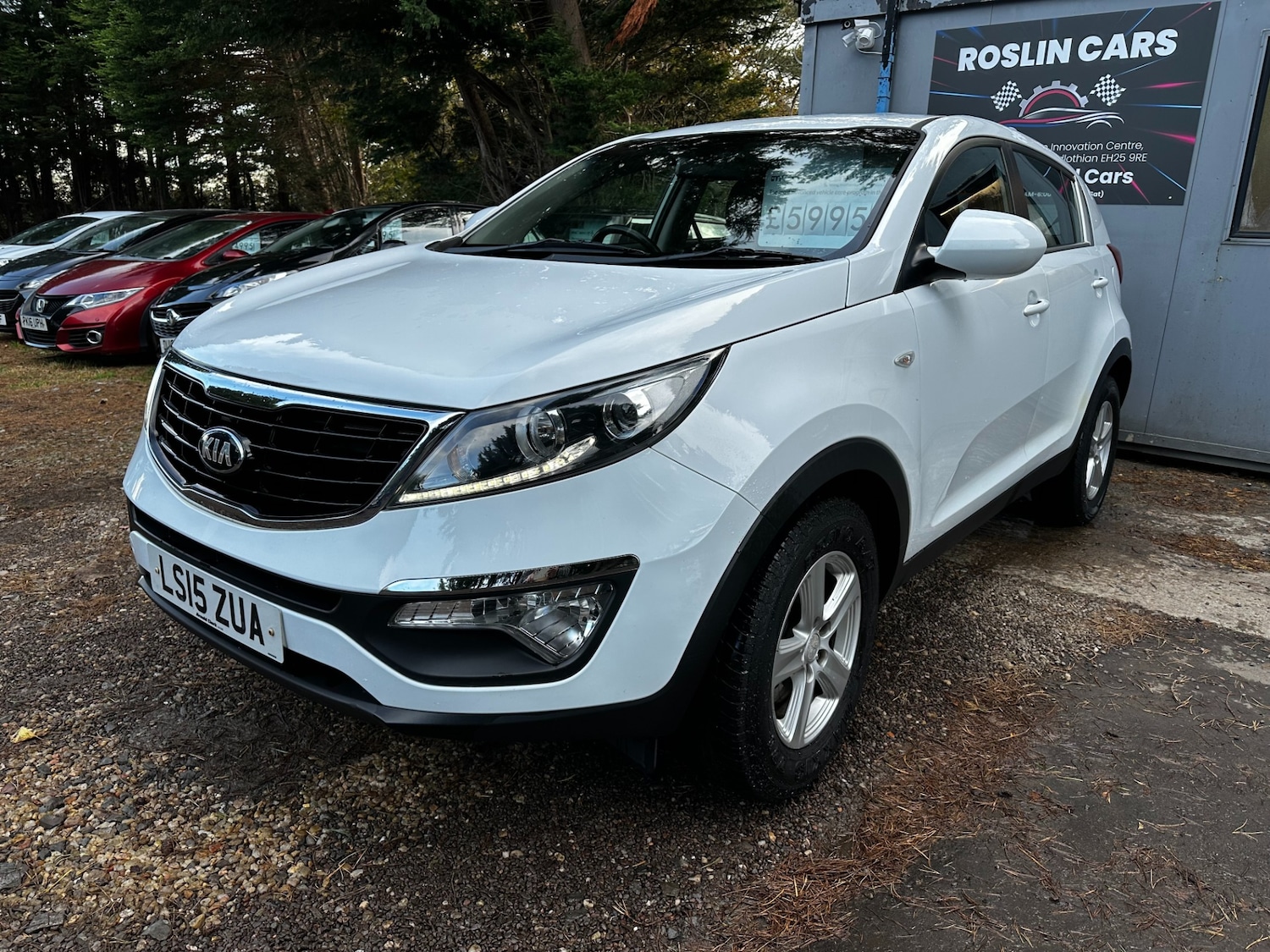 Used Kia Sportage 2015 for sale - 76402953: Photo 3