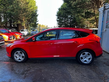 Used Ford Focus 2016 for sale - 77063570: Photo