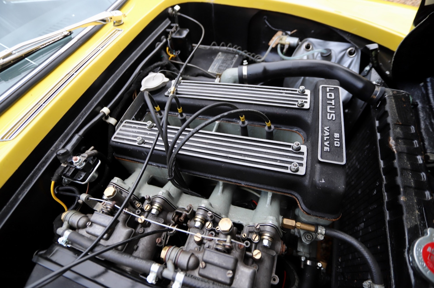 Used Lotus Elan 1972 for sale - 76451786: Photo 14