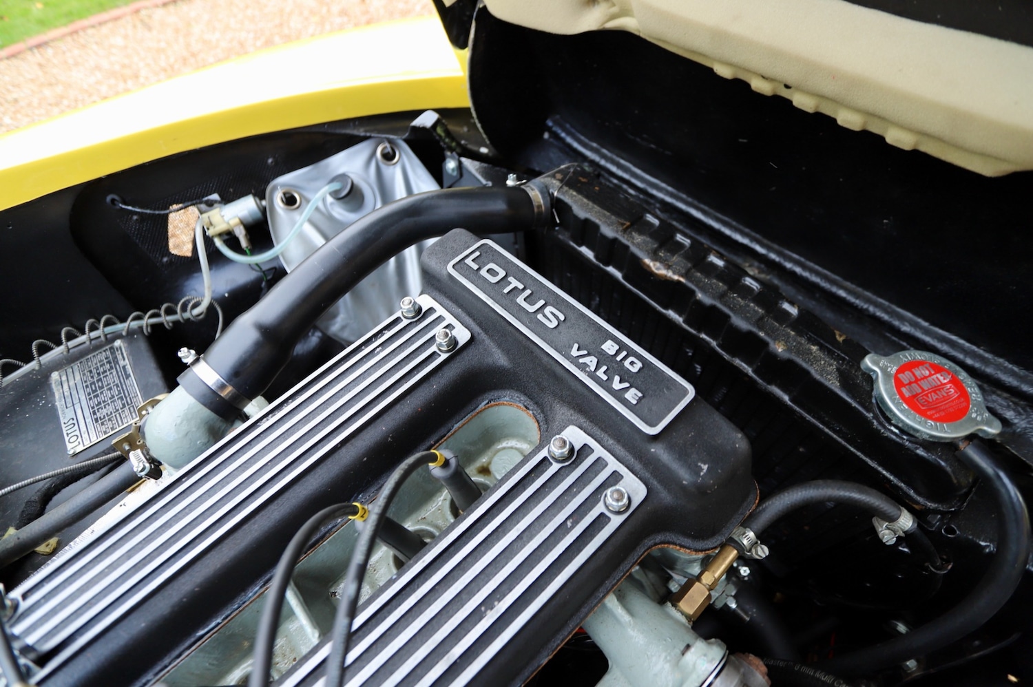 Used Lotus Elan 1972 for sale - 76451786: Photo 15