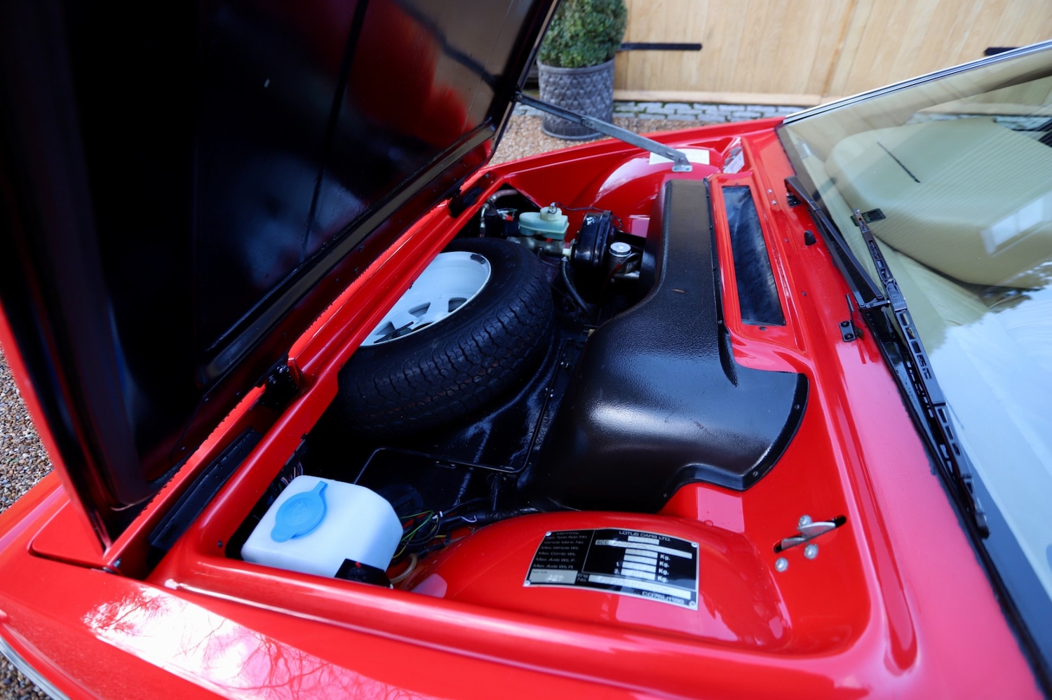 Used Lotus Esprit 1984 for sale - 77247885: Photo 13