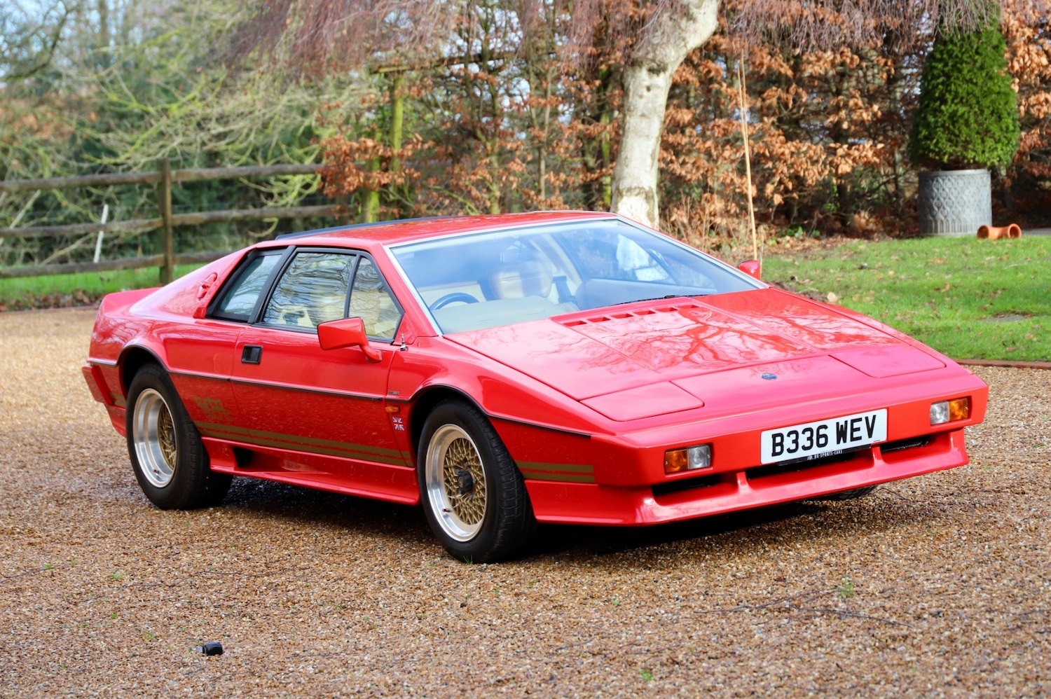 Used Lotus Esprit 1984 for sale - 77247885: Photo 6