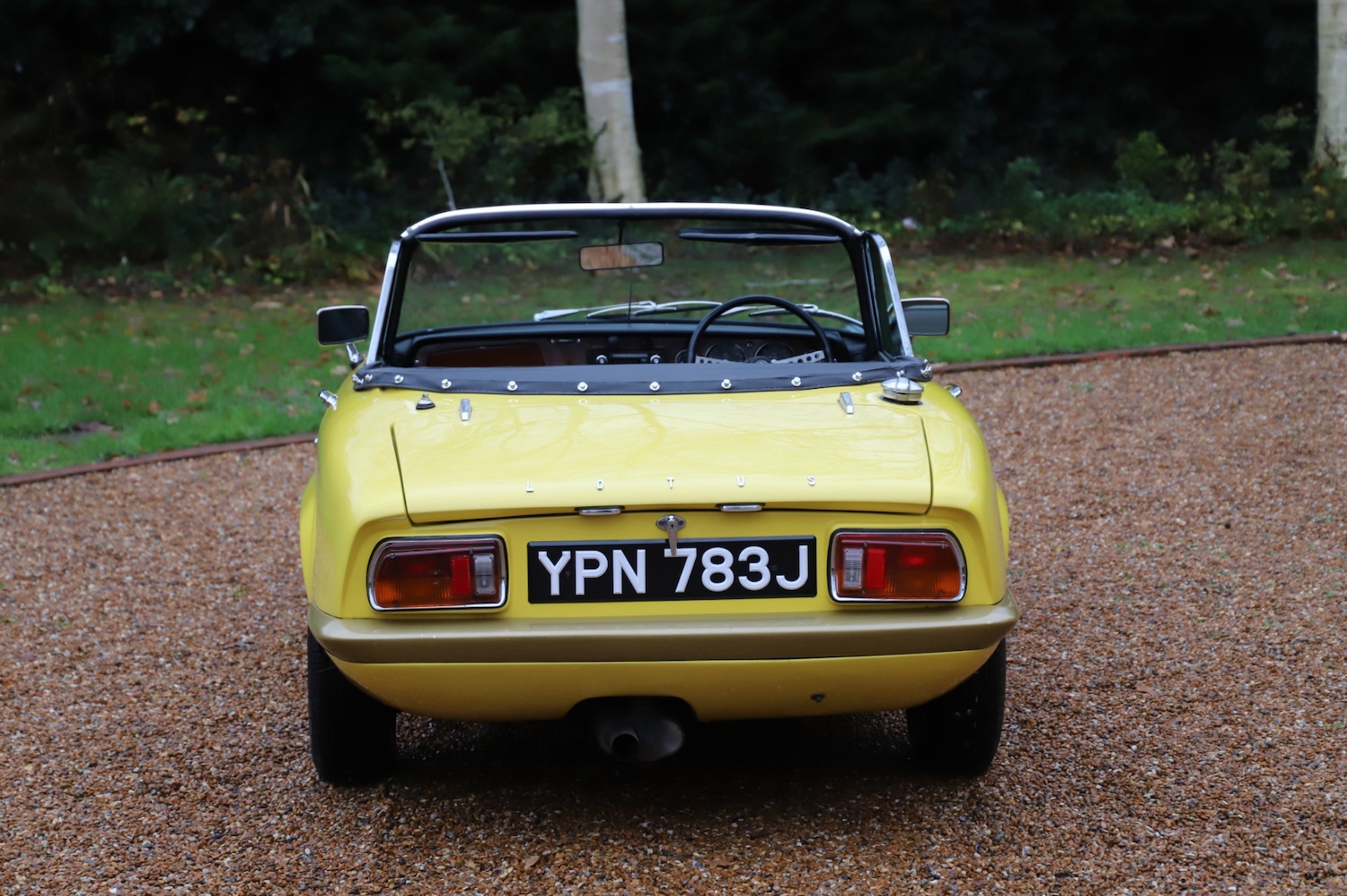 Used Lotus Elan 1971 for sale - 77207503: Photo 6