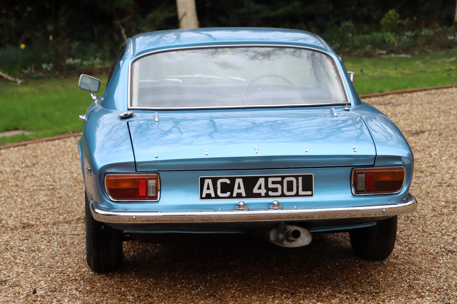 Used Lotus Elan 1972 for sale - 77619704: Photo 8
