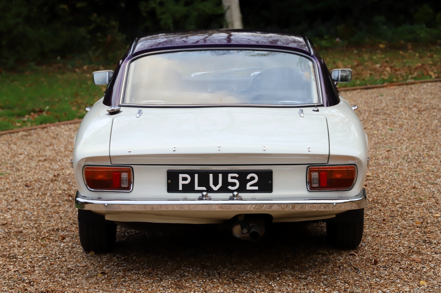 Used Lotus Elan 1970 for sale - 76640692: Photo 4