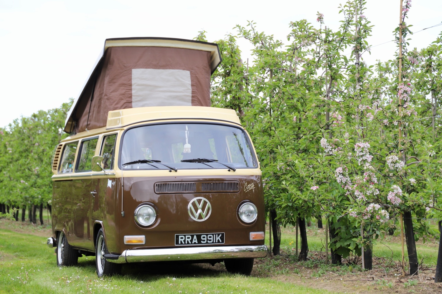 Used Volkswagen Transporter 1971 for sale - 78012305: Photo 13