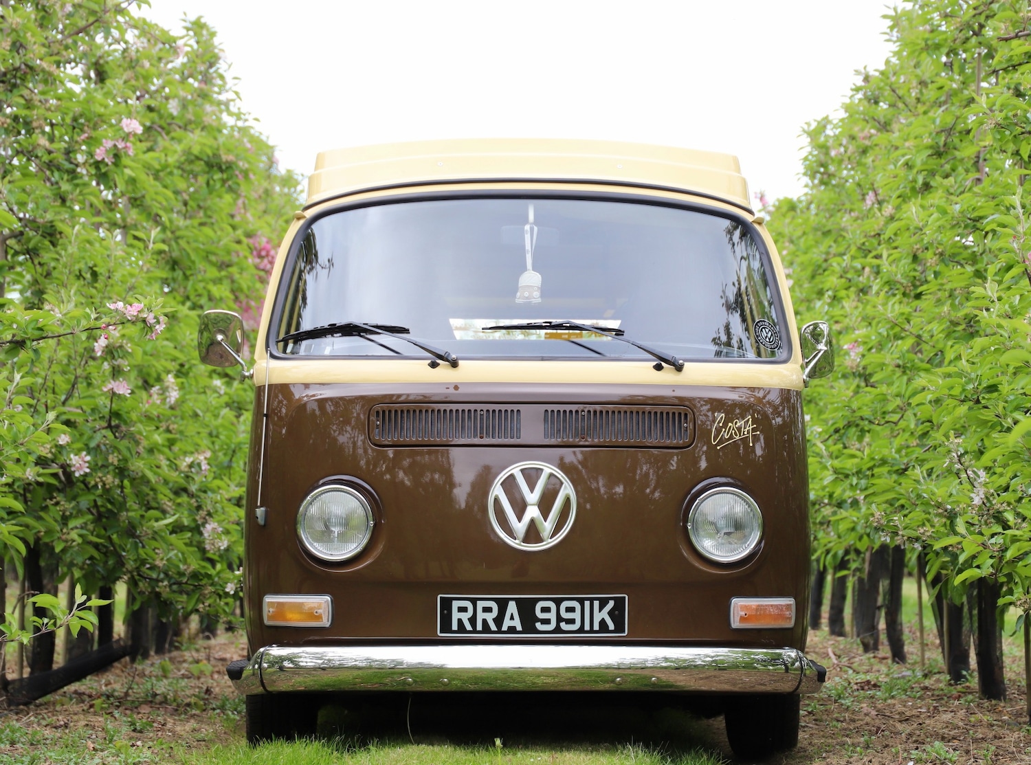 Used Volkswagen Transporter 1971 for sale - 78012305: Photo 9