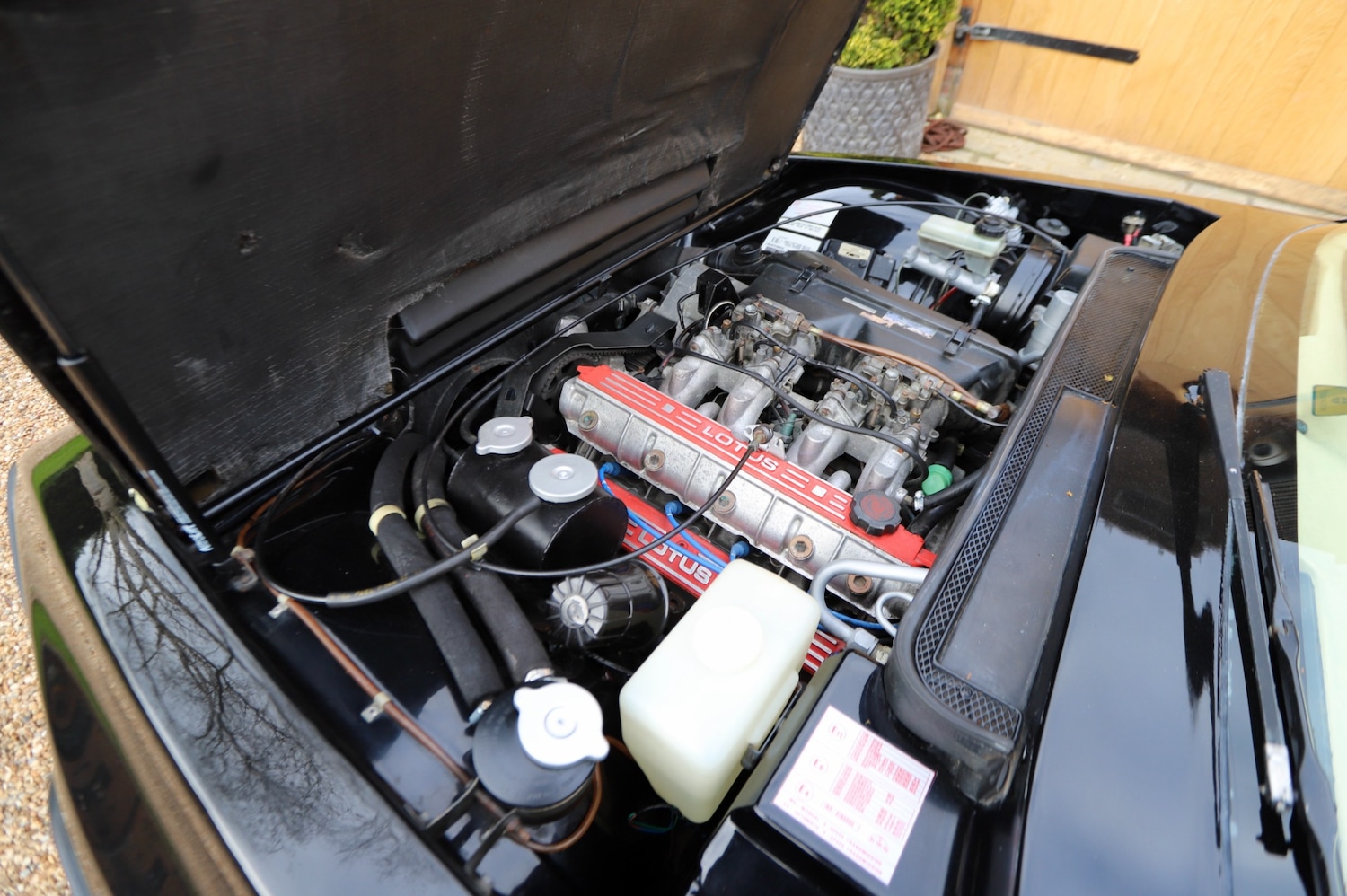 Used Lotus Eclat 1990 for sale - 78152844: Photo 18