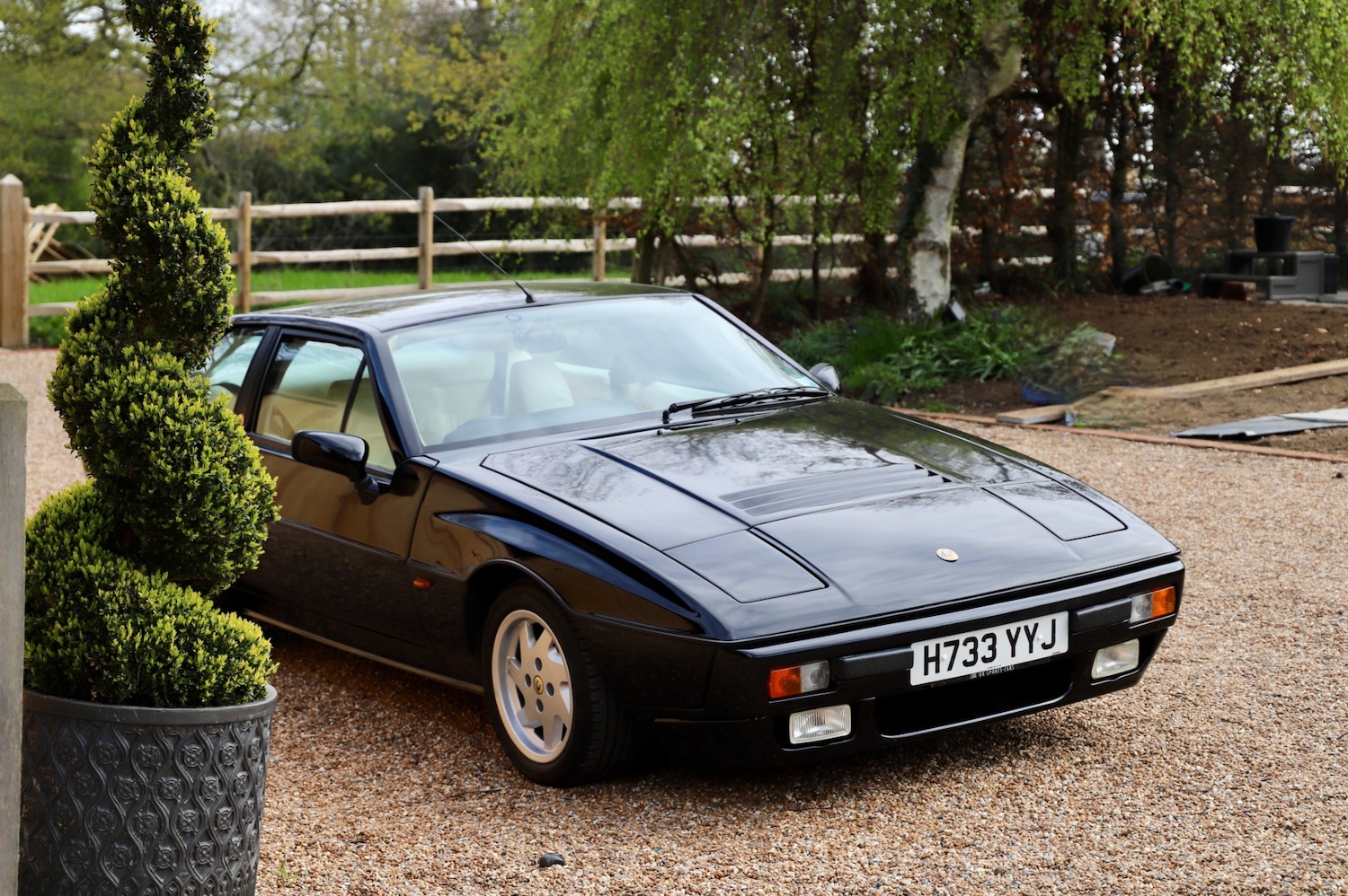 Used Lotus Eclat 1990 for sale - 78152844: Photo 2