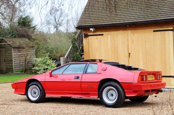 Used Lotus Esprit 1988 for sale - 73711757: Photo 4