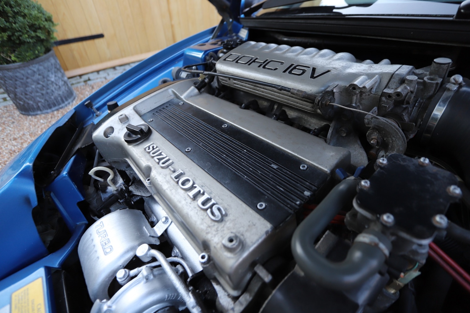 Used Lotus Elan 1992 for sale - 77762620: Photo 18