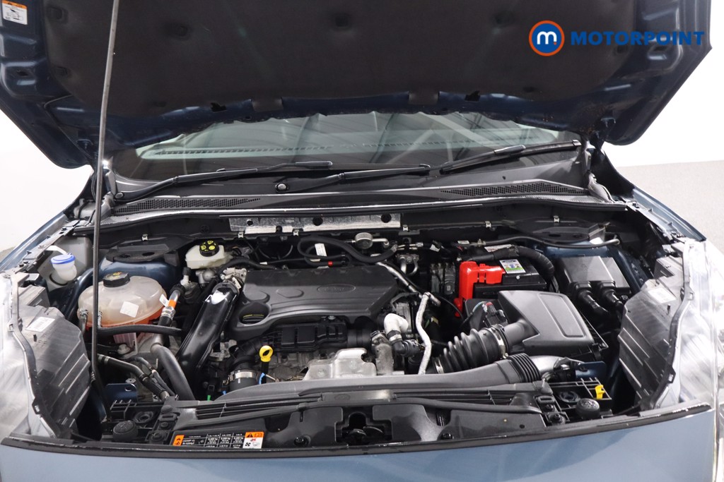 Used Ford Kuga 2020 for sale - 76946280: Photo 42