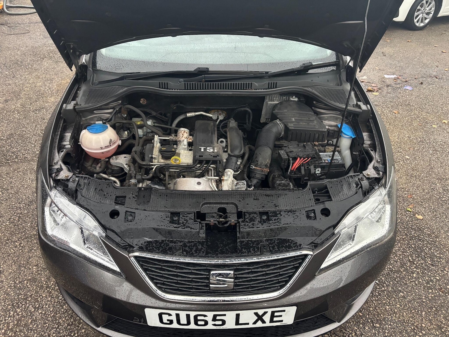 Used SEAT Ibiza 2015 for sale - 76918530: Photo 10