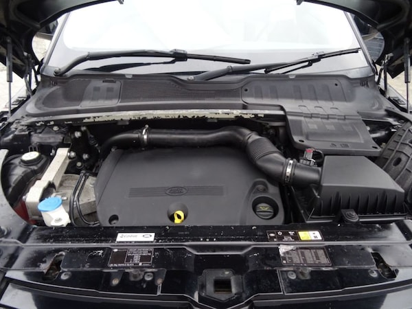 Used Land Rover Range Rover Evoque 2014 for sale - 76303119: Photo 12