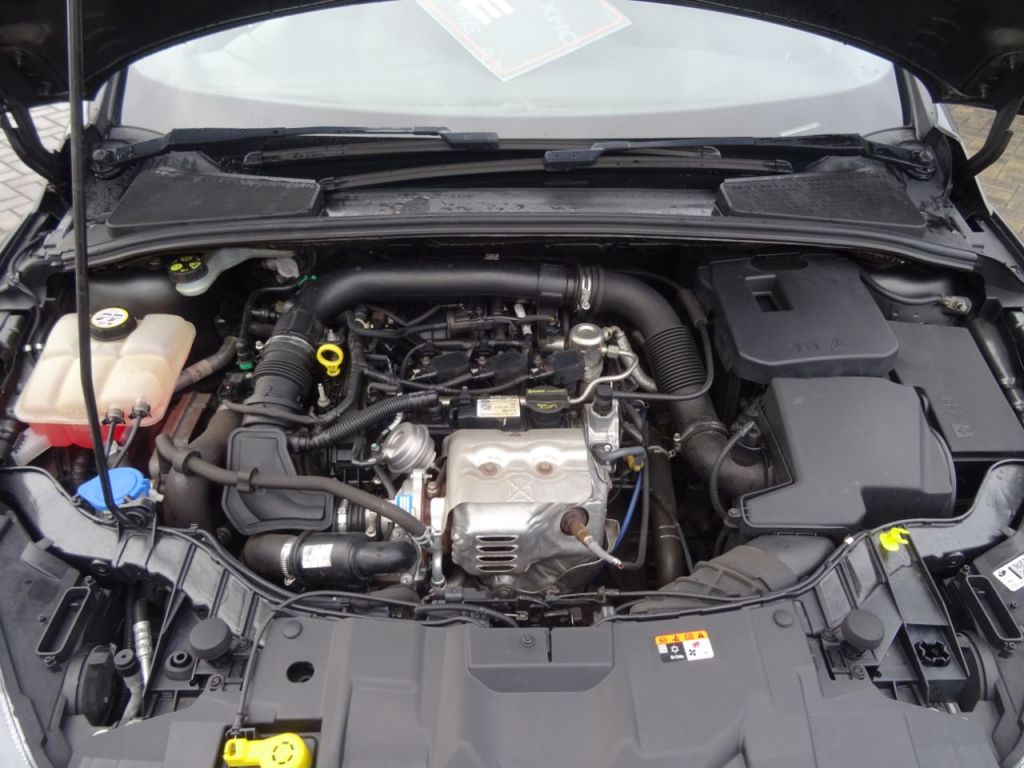 Used Ford Focus 2016 for sale - 76449464: Photo 12