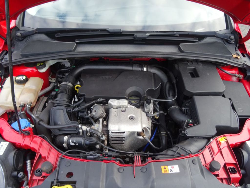 Used Ford Focus 2013 for sale - 76352331: Photo 12