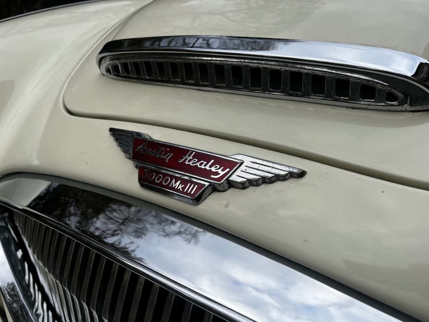 Used Austin Healey 1966 for sale - 76462038: Photo 48