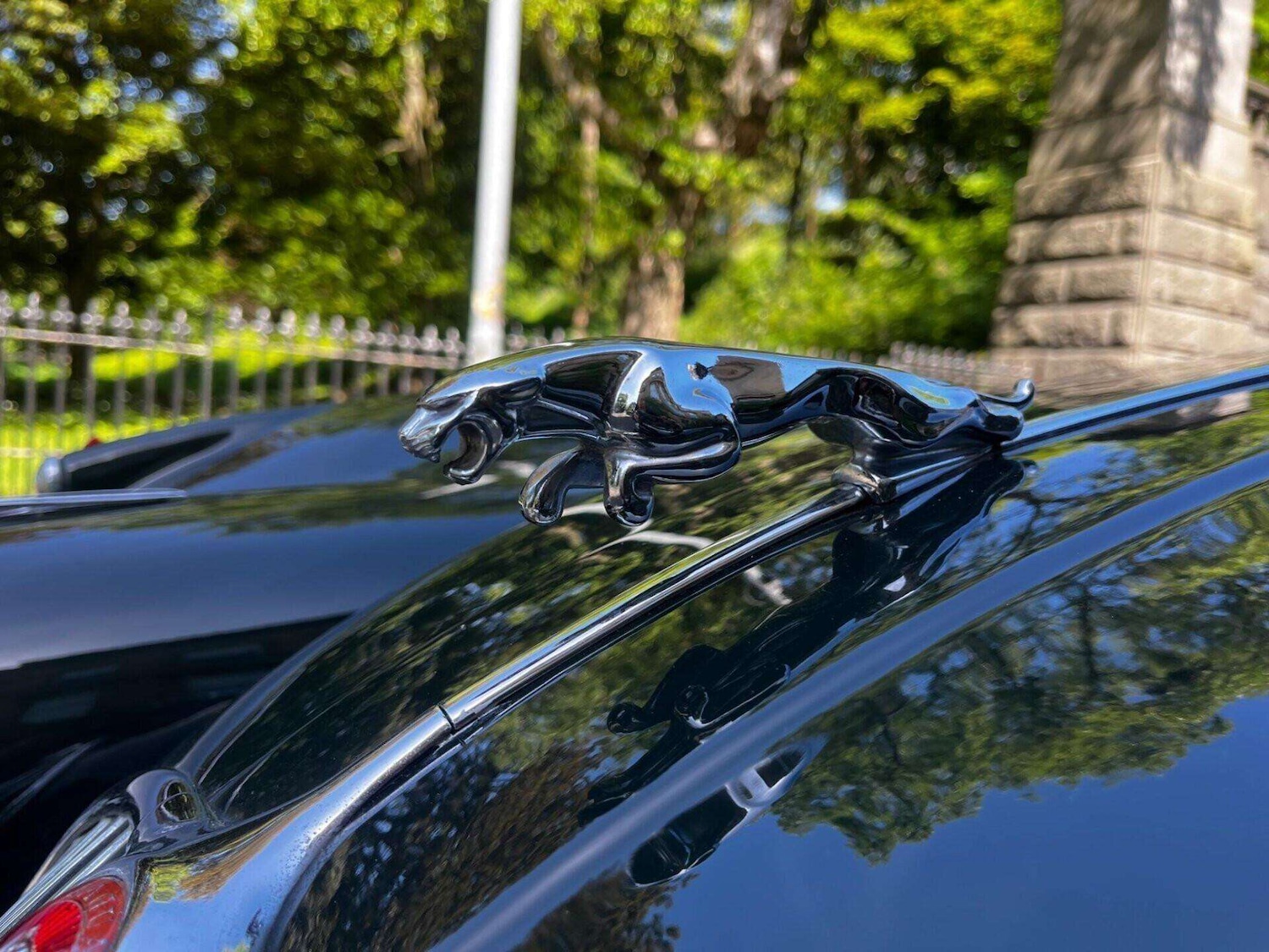 Used Jaguar XK 1984 for sale - 76462039: Photo 50