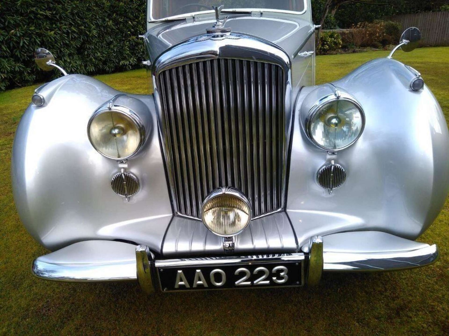 Used Bentley MK VI 1951 for sale - 77128564: Photo 5
