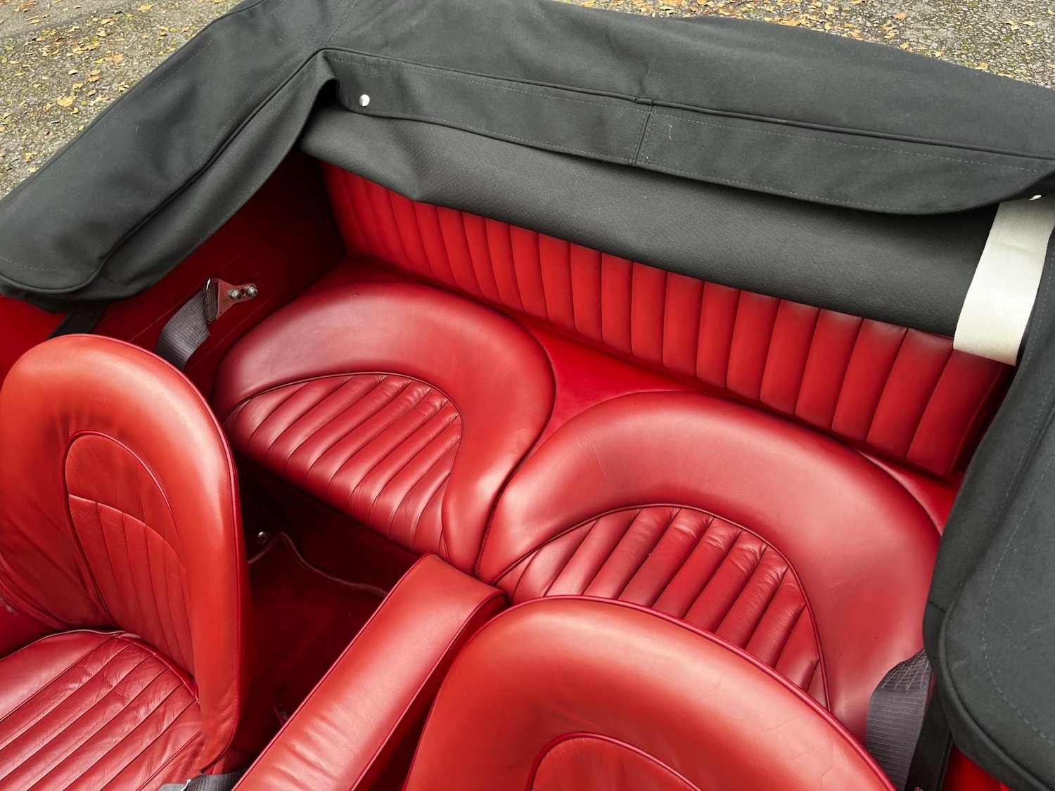 Used Austin Healey 1988 for sale - 77128559: Photo 17