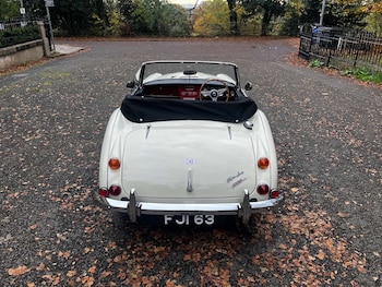 Used Austin Healey undefined for sale - 77128559: Photo