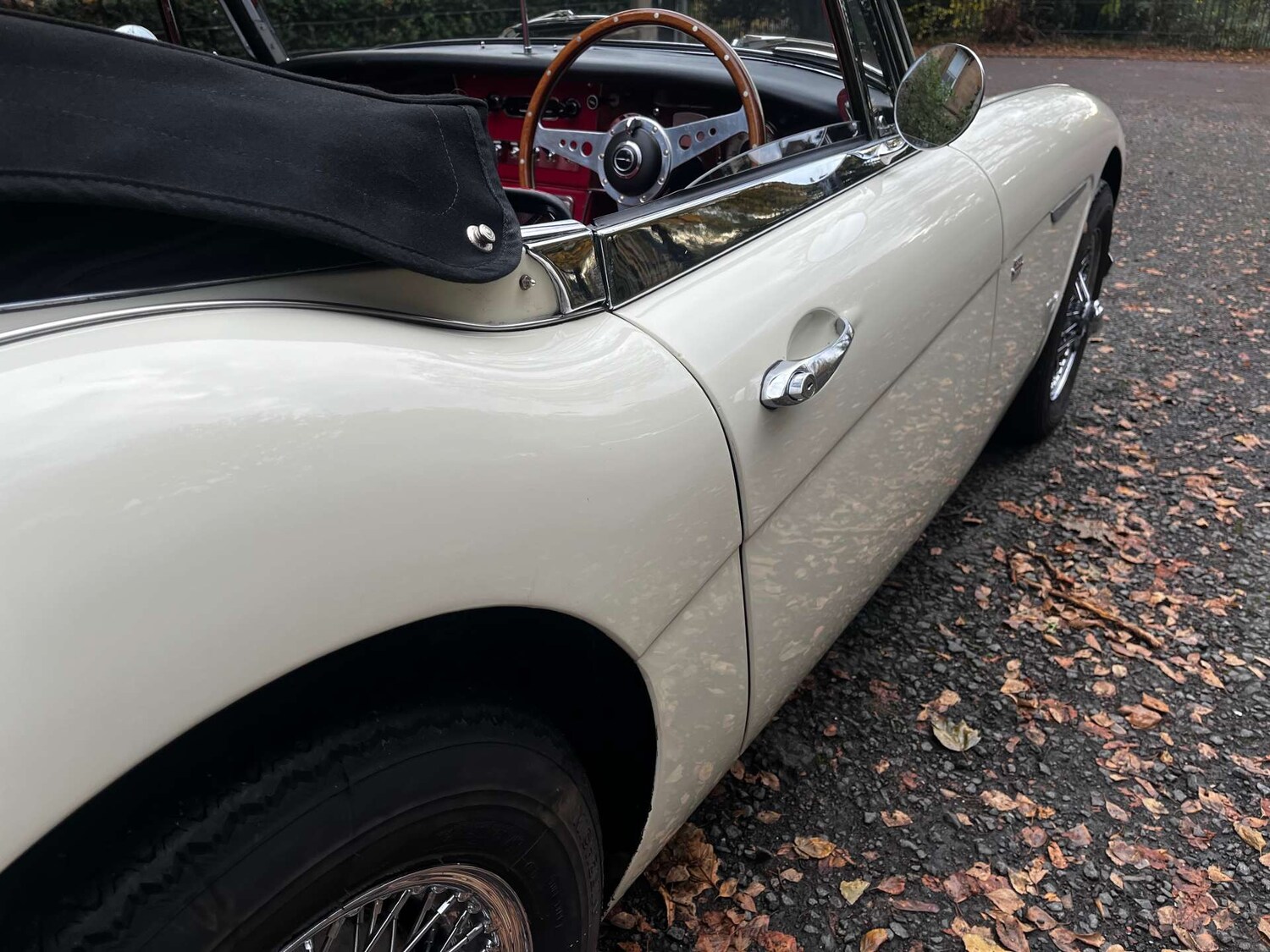 Used Austin Healey 1988 for sale - 77128559: Photo 50