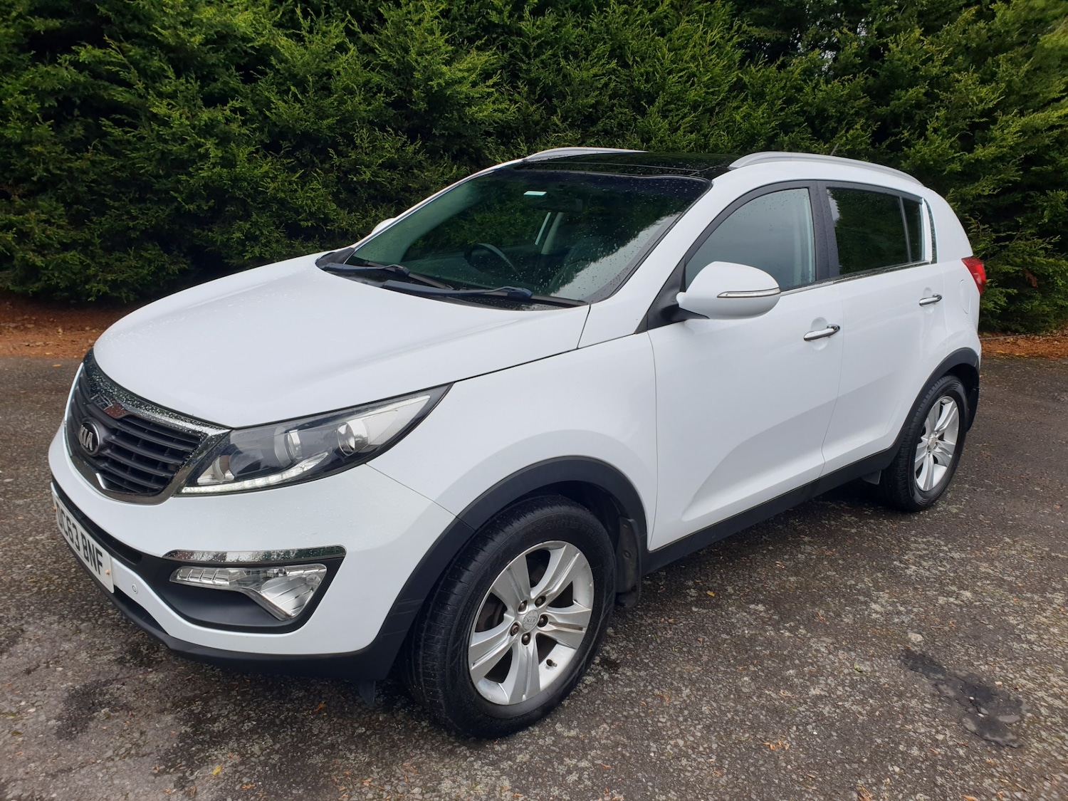 Used Kia Sportage 2013 for sale - 76302489: Photo 2
