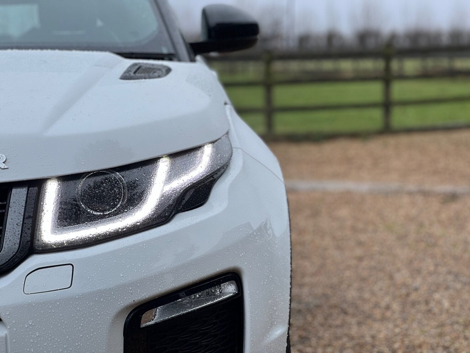 Used Land Rover Range Rover Evoque 2018 for sale - 77515406: Photo 18