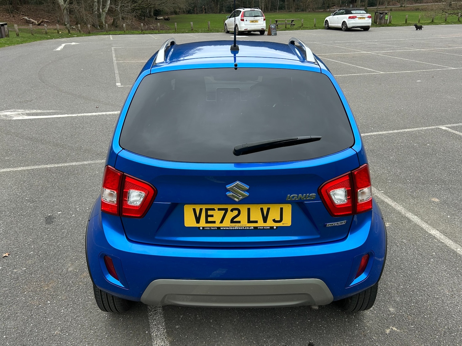 Used Suzuki Ignis 2023 for sale - 77593235: Photo 10