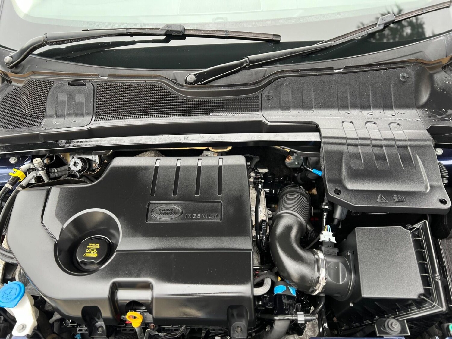 Used Land Rover Range Rover Evoque 2017 for sale - 77431132: Photo 42