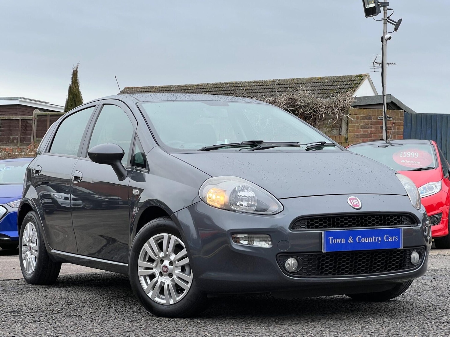 Used Fiat Punto 2014 for sale - 77431127: Photo 2