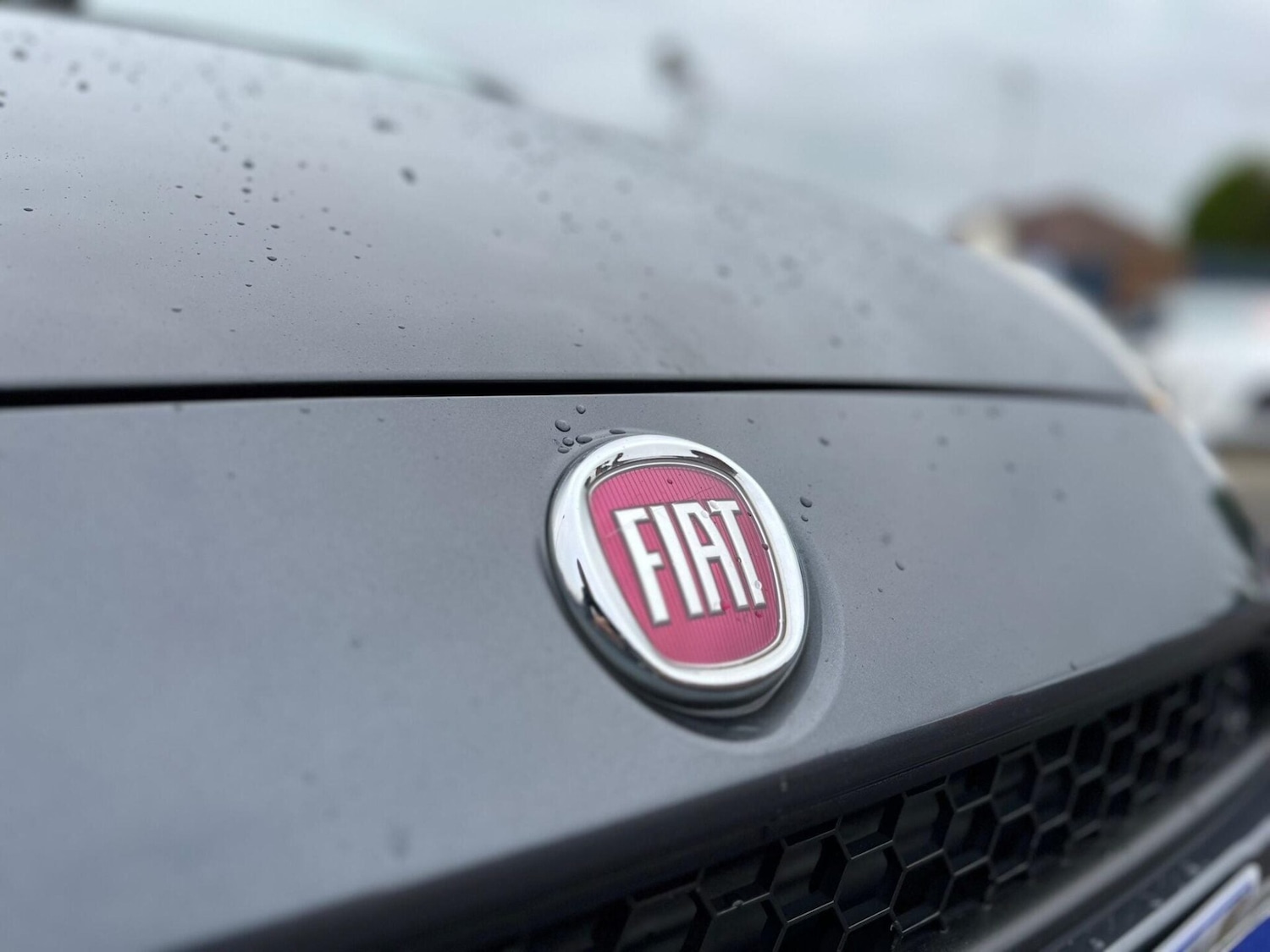 Used Fiat Punto 2014 for sale - 77431127: Photo 7