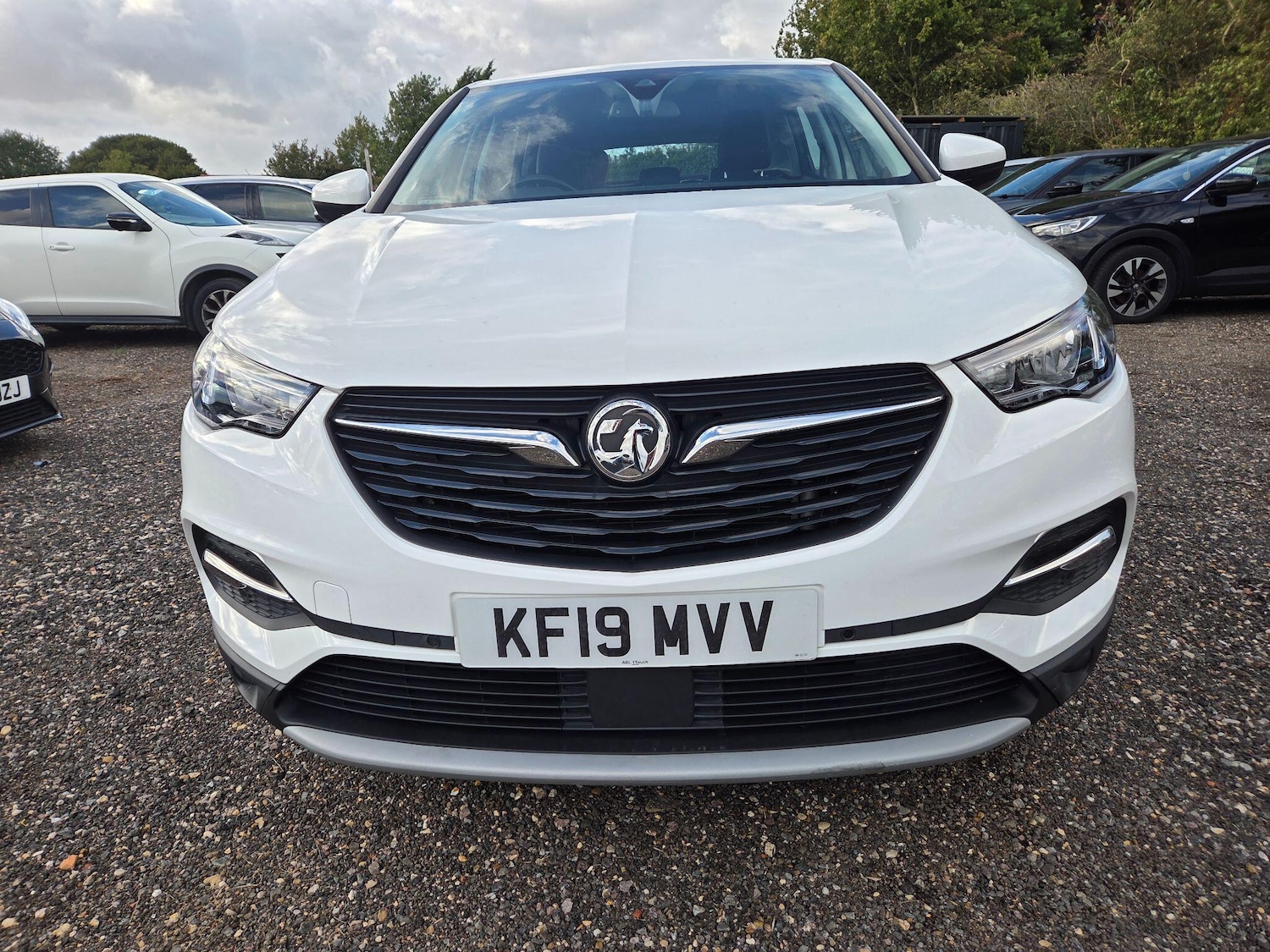 Used Vauxhall Grandland X 2019 for sale - 76500695: Photo 10
